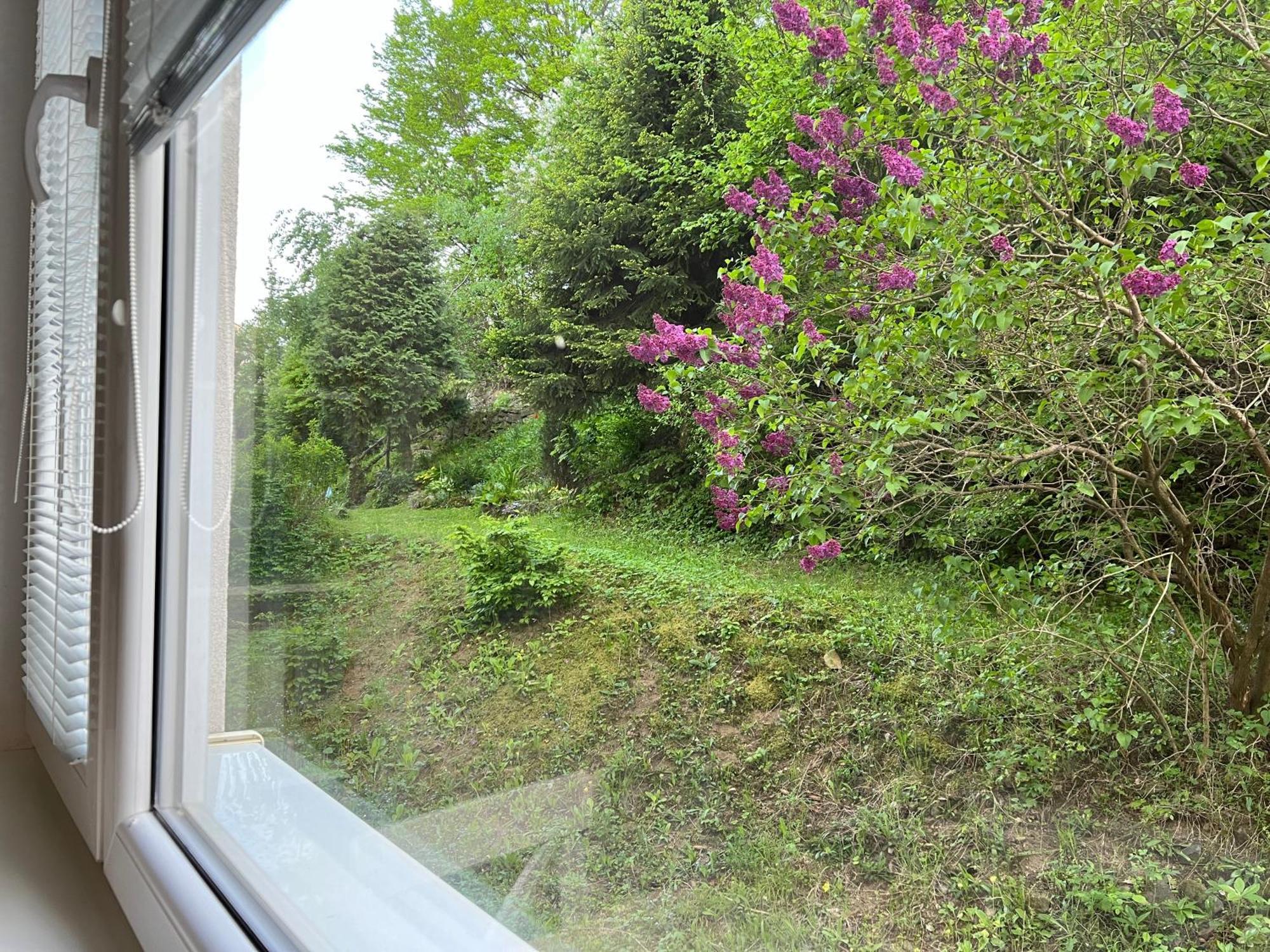 Apartman Rosniarka Banská Štiavnica Dış mekan fotoğraf